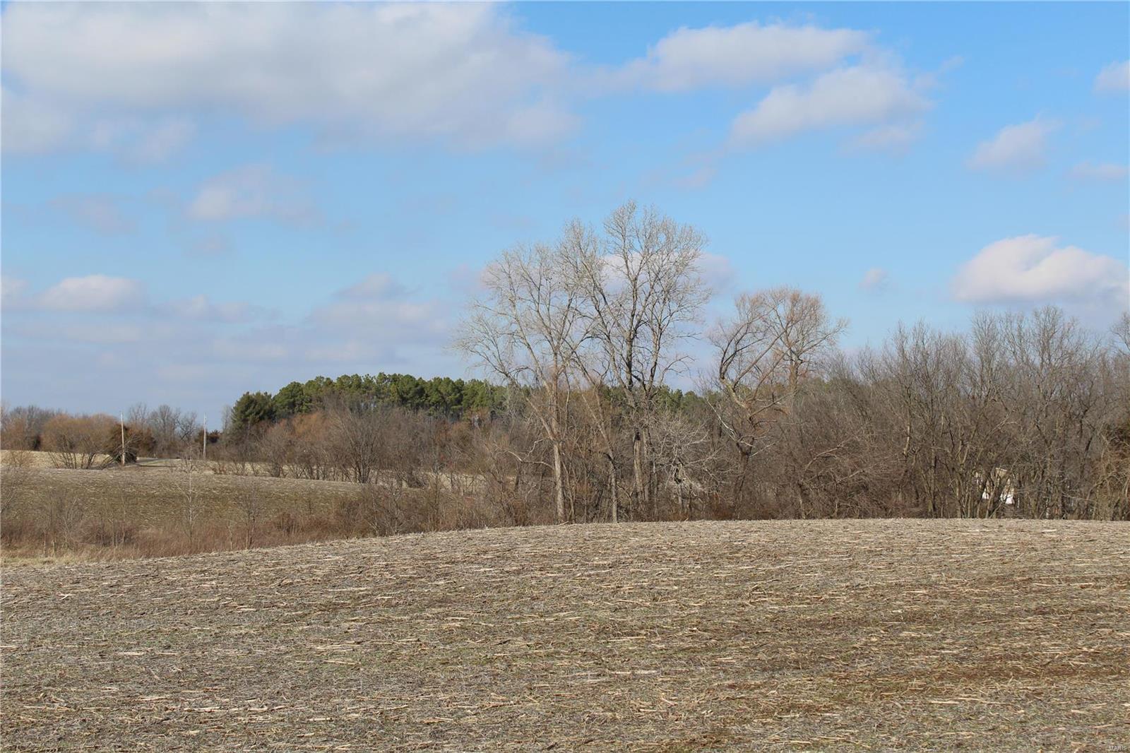 0 Vv Road Prairie du Rocher, IL 62277 - Photo 10 of 14