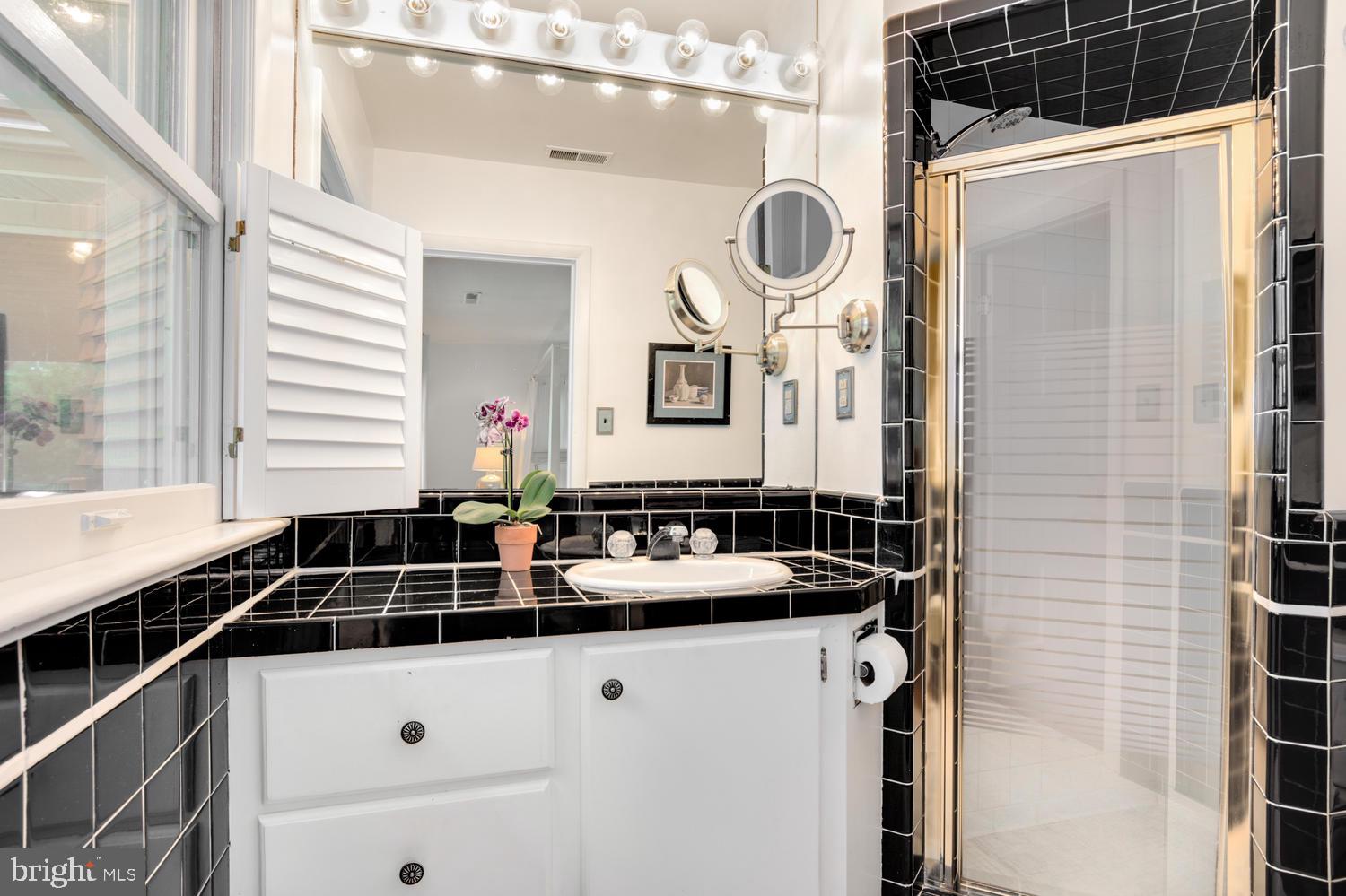 9698 Leeds Landing Road Easton, MD 21601 - Photo 32 of 49 Master bath