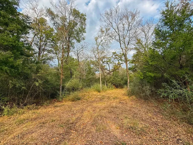 a view of outdoor space and trees