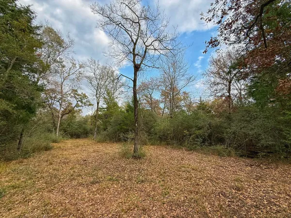 a view of outdoor space
