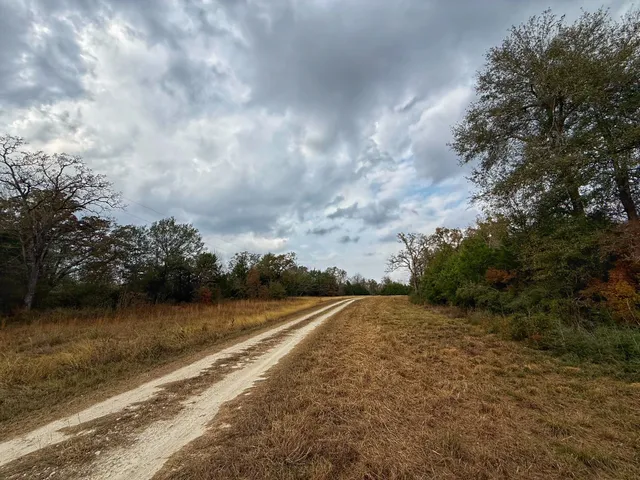 a view of a pathway with a yard