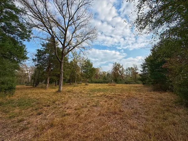 a view of outdoor space with trees