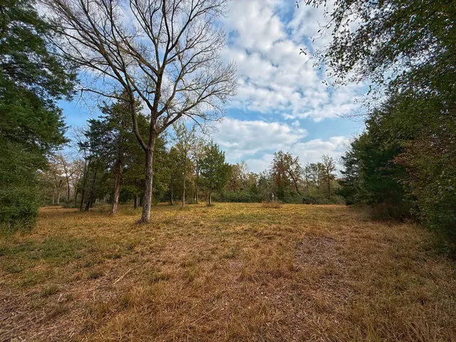 a view of outdoor space with trees