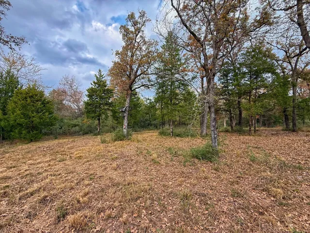 a backyard of a house with lots of green space