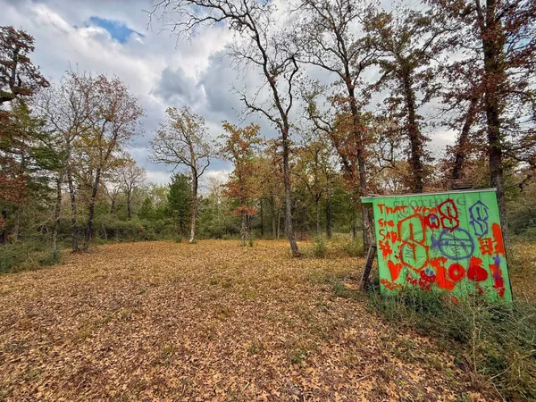 a view of outdoor space with garden and trees