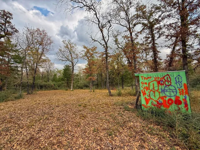 a view of outdoor space with garden and trees