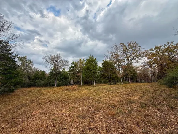 a backyard of a house
