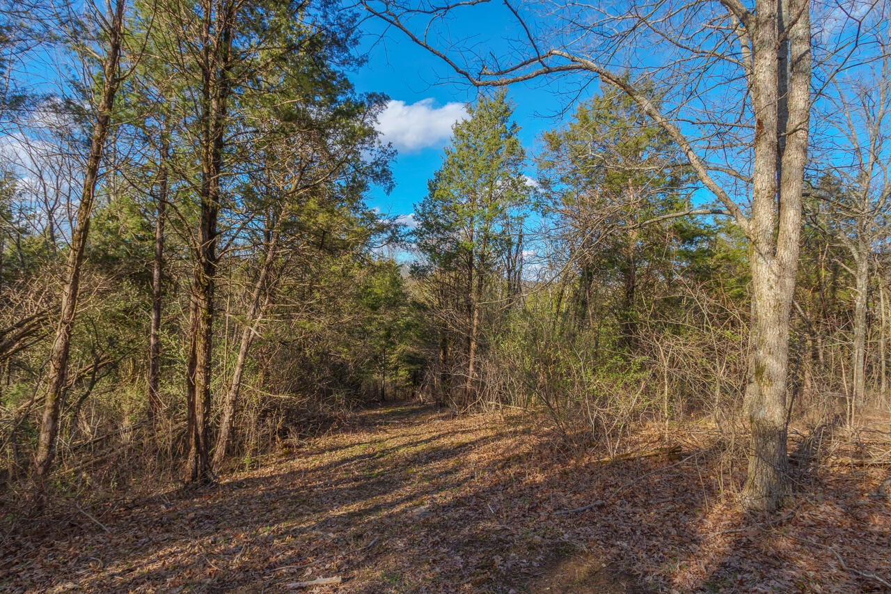 1 Camp Pleasant Road Frankfort, KY 40601 - Photo 58 of 67 104-2918-Cedar-Rd-Stamping-Ground-KY-403