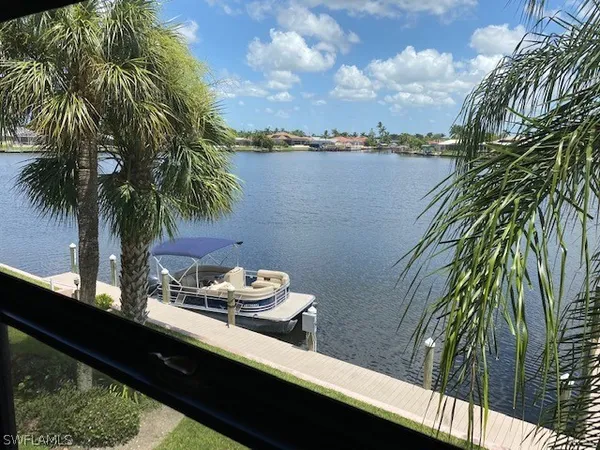 a view of a lake with a palm tree