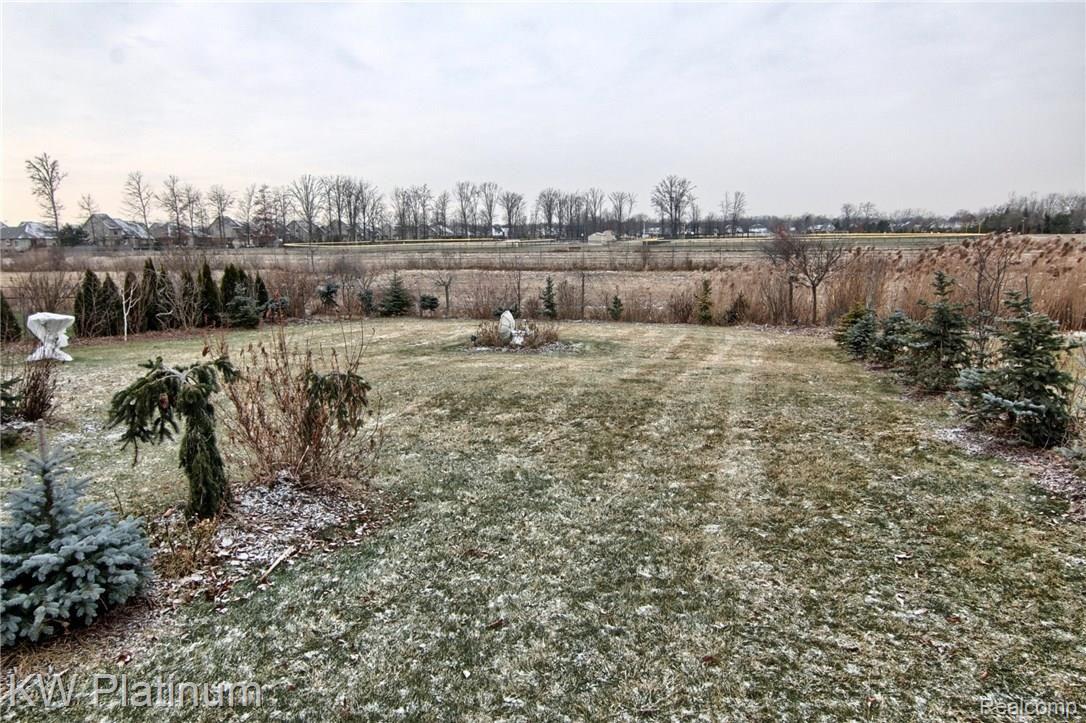 53809 Orson Road New Baltimore, MI 48047 - Photo 27 of 29 Backyard_2nd_View.jpg