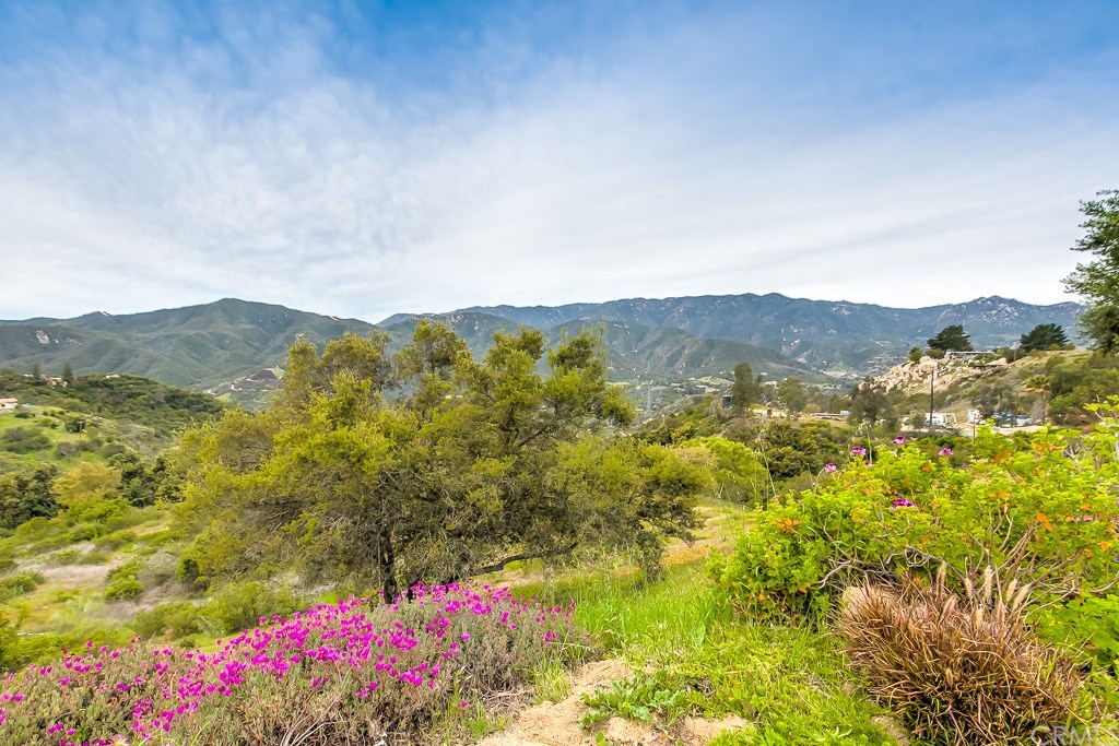 39356 American Road Fallbrook, CA 92028 - Photo 14 of 37
