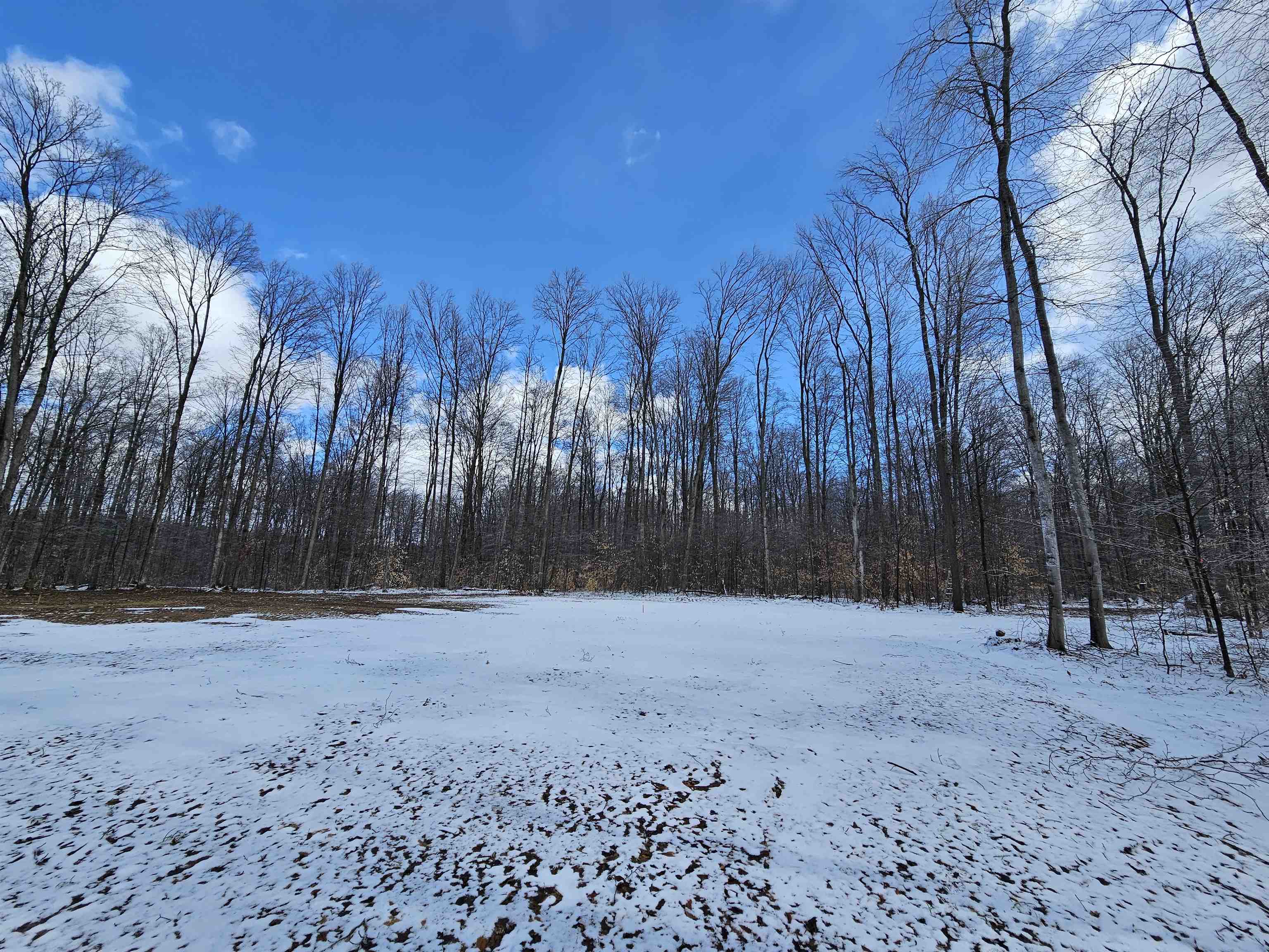 361 West Rhoby Road Lake City, MI 49651 - Photo 8 of 13 Gallery Image 8