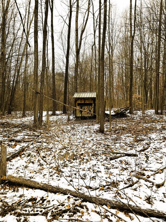 1726 Peavy Road Howell, MI 48843 - Photo 37 of 43