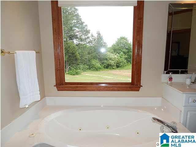 3000 County Road 54 Montevallo, AL 35115 - Photo 21 of 32