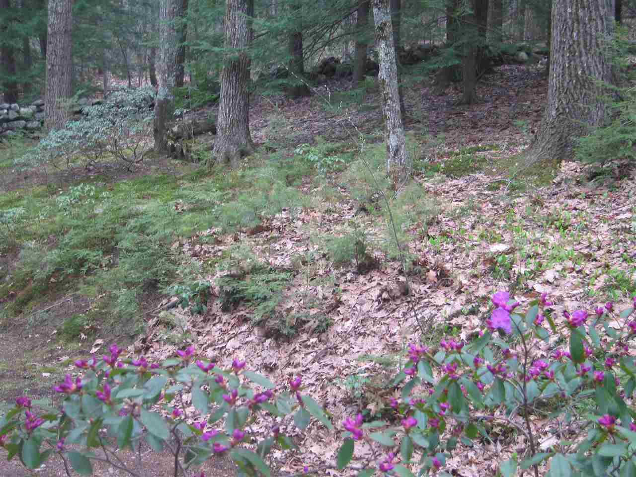 252 Marden Road, Unit B Wilton, NH 03086 - Photo 25 of 25 Gallery Image 25