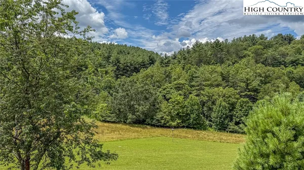 a view of a field with plants and a bench