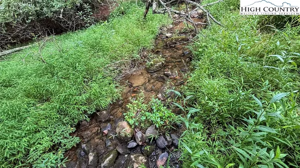 a view of a bird door of the house