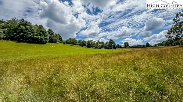 a view of an ocean from a yard