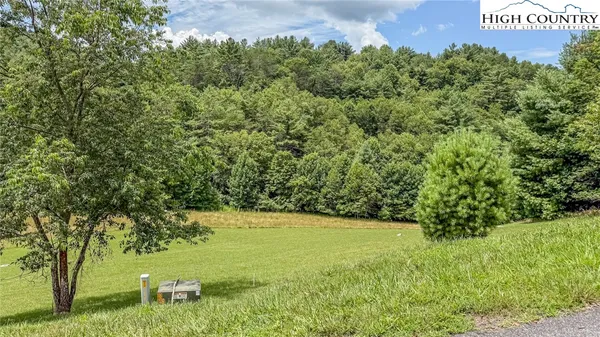 a view of a field with a tree