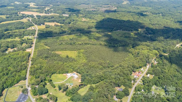 a picture of a tree with a yard