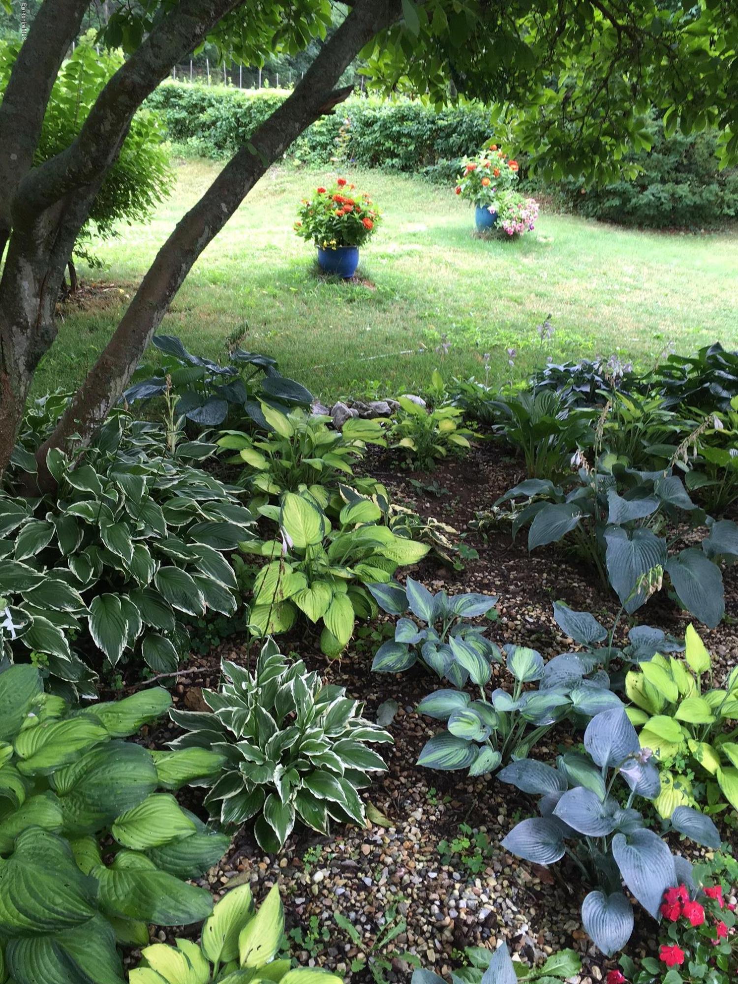 17 Spring Road Adams, MA 01220 - Photo 37 of 37 a view of a garden with a tree