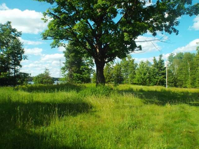 3.6-acre Maywood Road Deerbrook, WI 54424 - Photo 5 of 20 Gallery Image 5