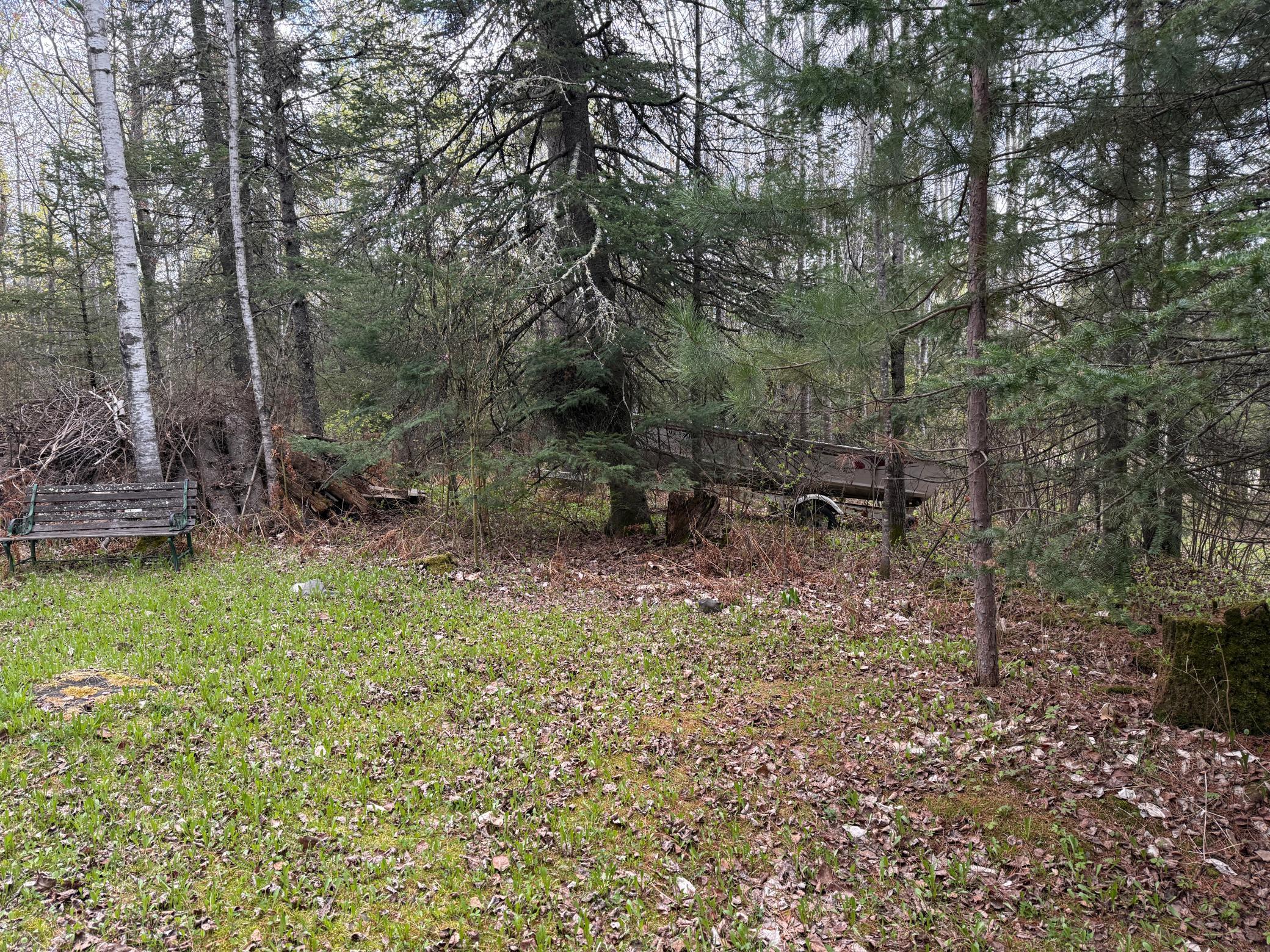 7355 West Melrude Road Cotton, MN 55724 - Photo 19 of 66
