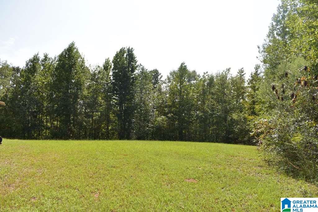 3348 County Road 7 Wedowee, AL 36278 - Photo 12 of 14
