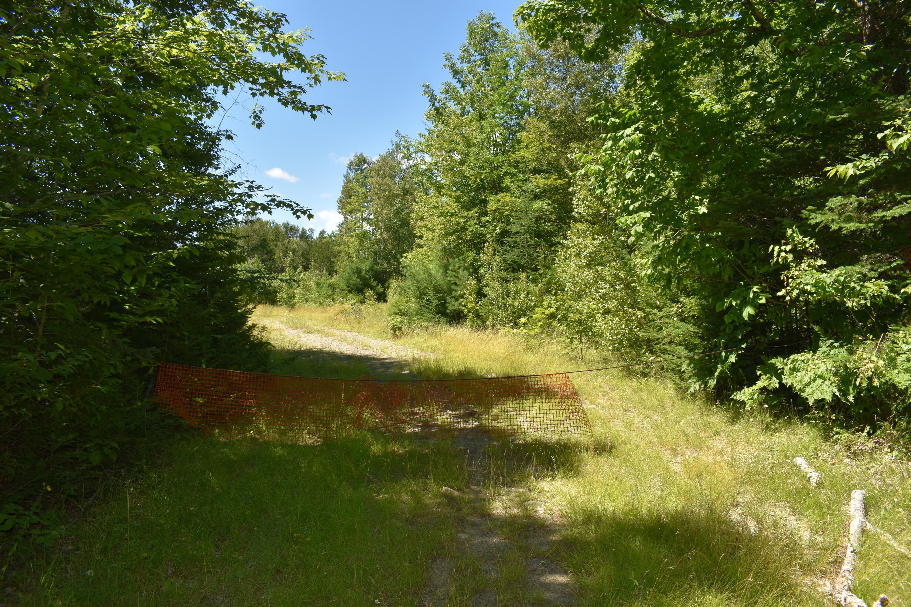 Lot 42-3 Ghost Road Springfield, ME 04487 - Photo 7 of 14 DSC_0722