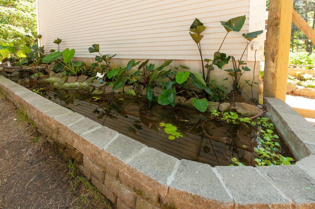 38 Pine Mountain Road Cape Neddick, ME 03902 - Photo 21 of 45 Koi Pond