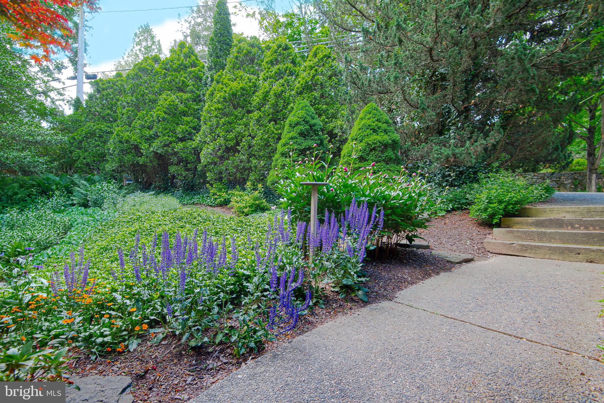 1506 Berwick Road Baltimore, MD 21204 - Photo 41 of 60 Walkway and garden