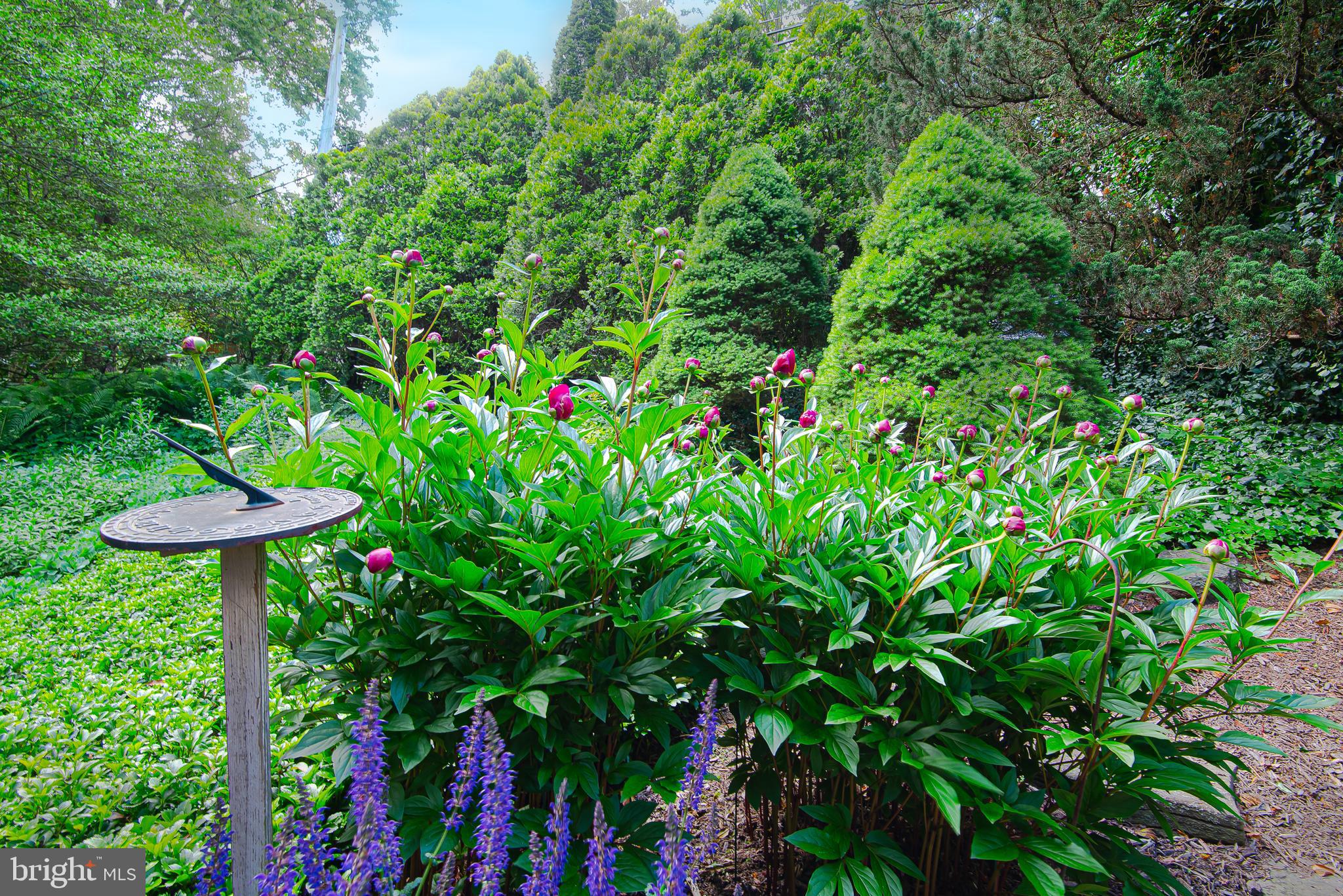1506 Berwick Road Baltimore, MD 21204 - Photo 42 of 60 Garden