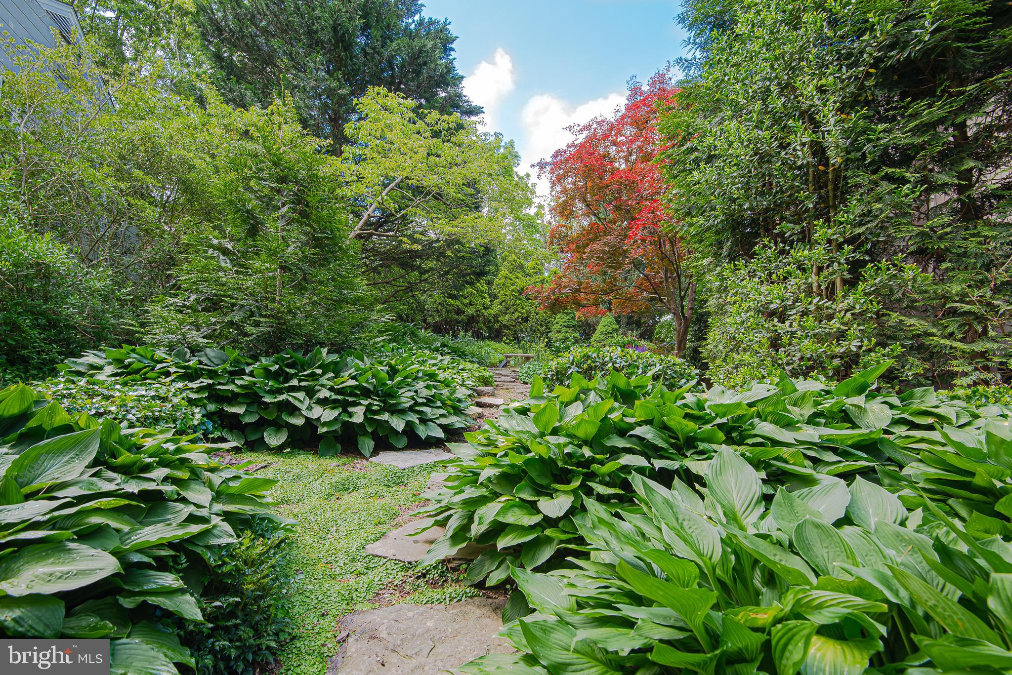 1506 Berwick Road Baltimore, MD 21204 - Photo 46 of 60 Garden