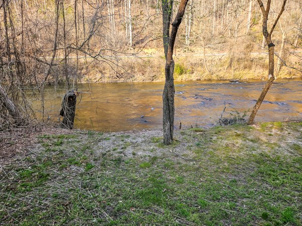 643 Riverside Drive Ellijay, GA 30540 - Photo 18 of 34