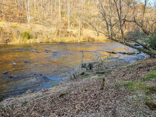 643 Riverside Drive Ellijay, GA 30540 - Photo 19 of 34