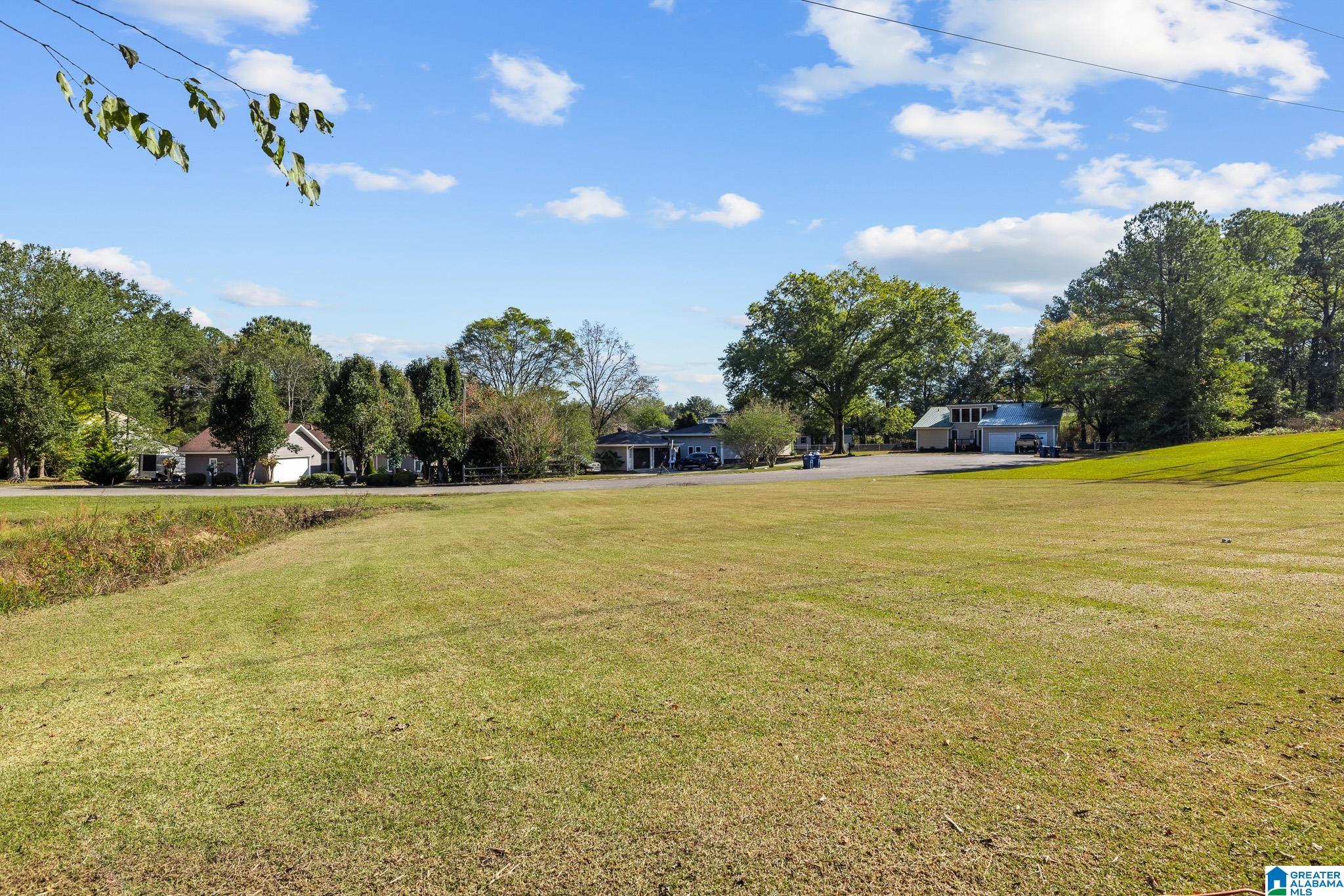 1508 King George Drive Alabaster, AL 35007 - Photo 4 of 38