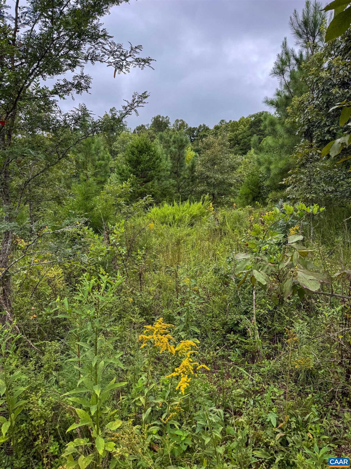 Tba Old Green Mountain Road, Unit 500 Esmont, VA 22937 - Photo 32 of 33