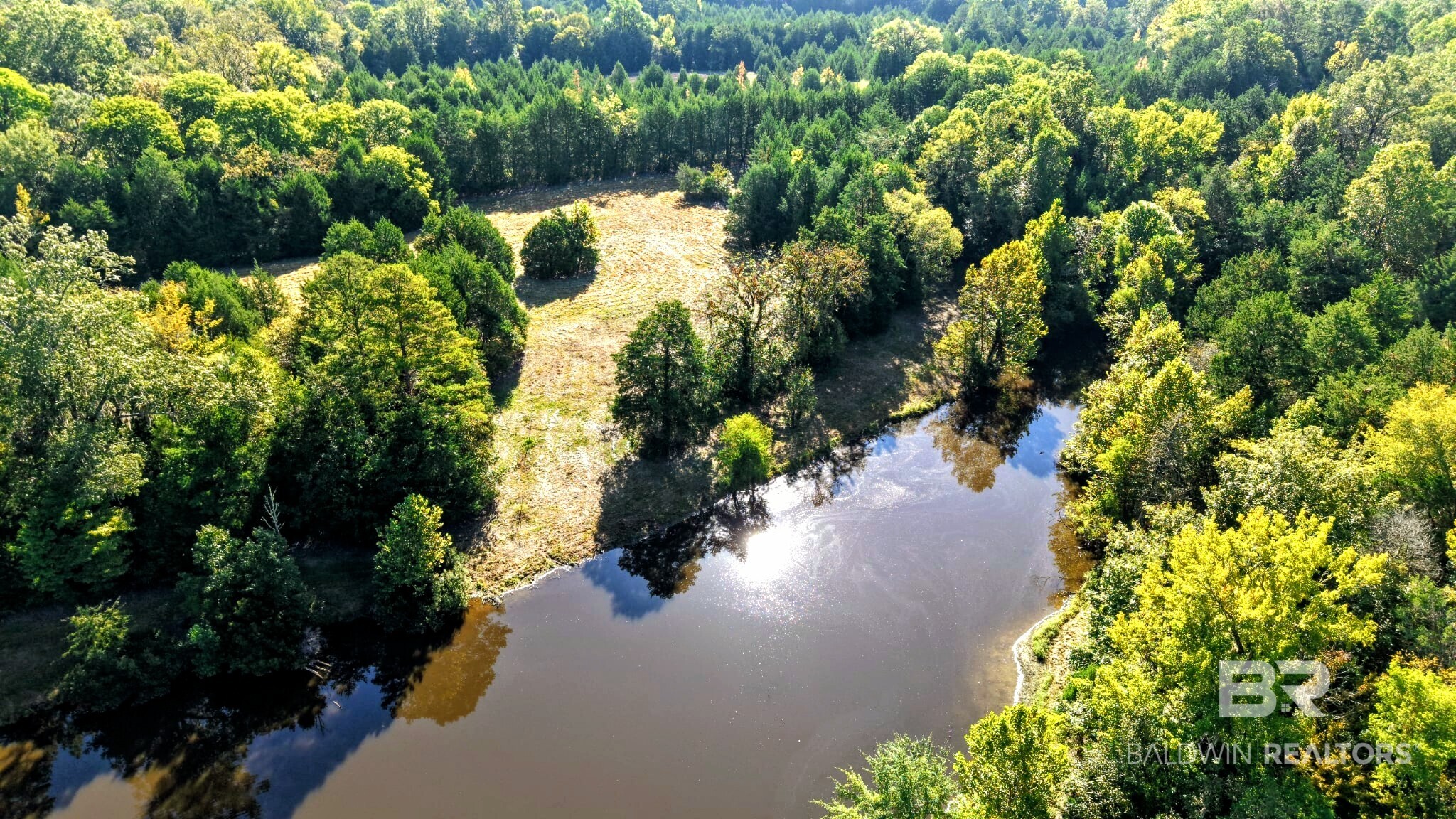 0 Highway 17 Millry, AL 36558 - Photo 15 of 73 Gallery Image 15
