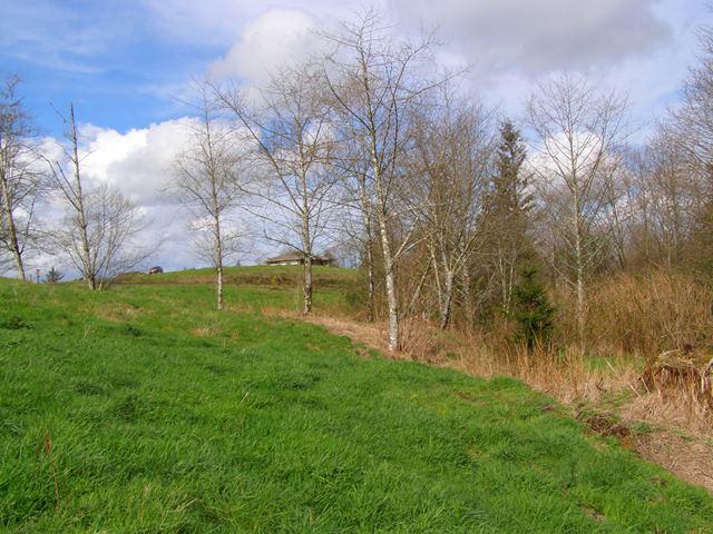 41 Skyview Road Tillamook, OR 97141 - Photo 21 of 33 P3180282