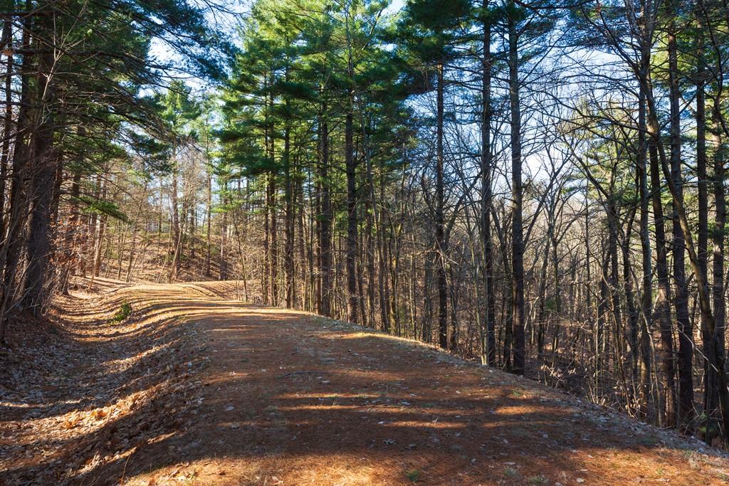 9 Pine Brook Road Wayland, MA 01778 - Photo 19 of 19