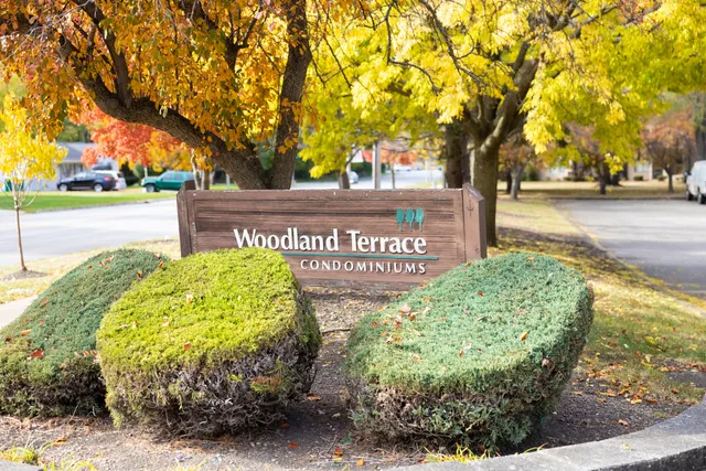 a front view of a house with yard and green space