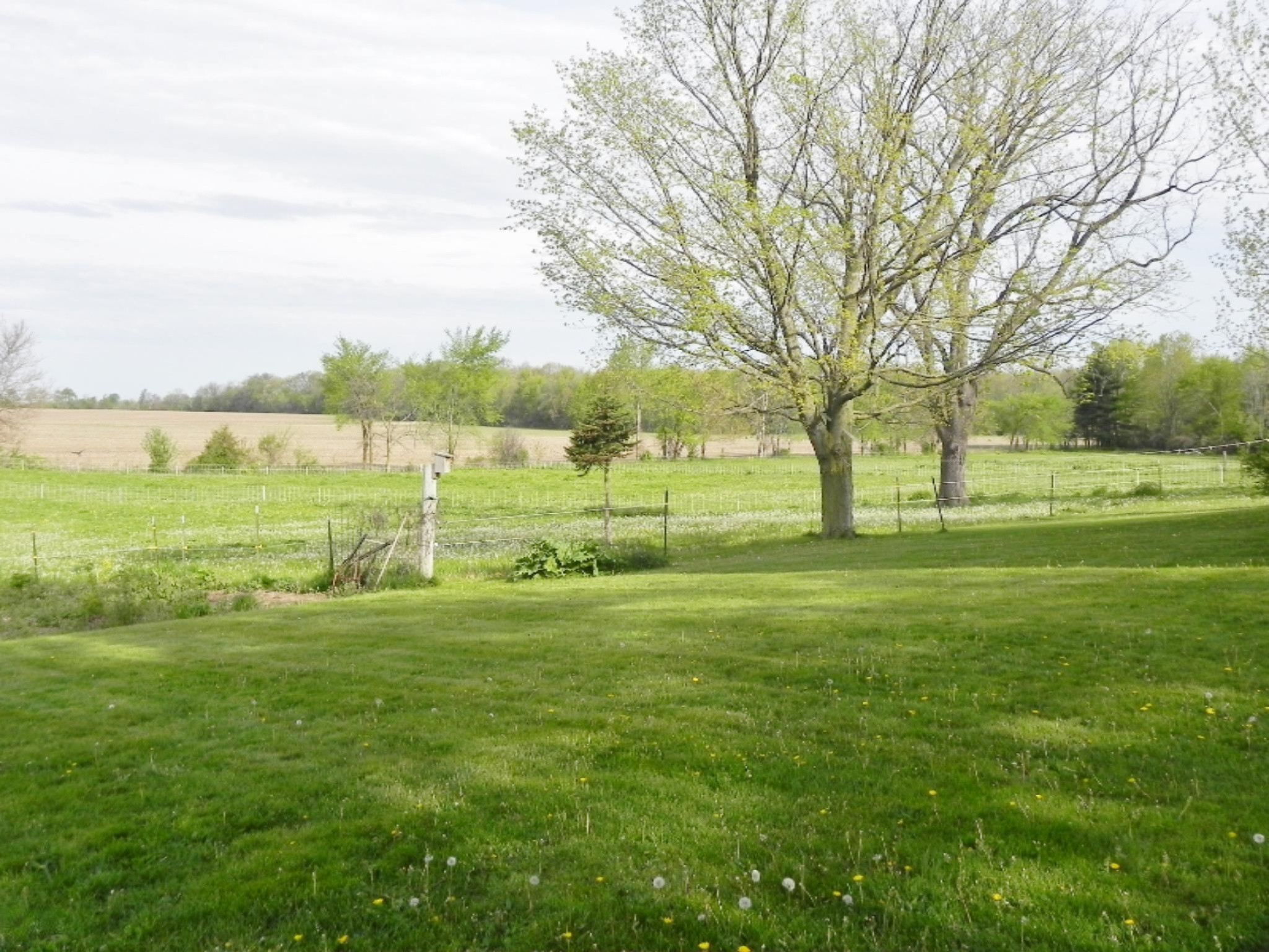 29980 Longnecker Road Mendon, MI 49072 - Photo 3 of 19 DSCN7365