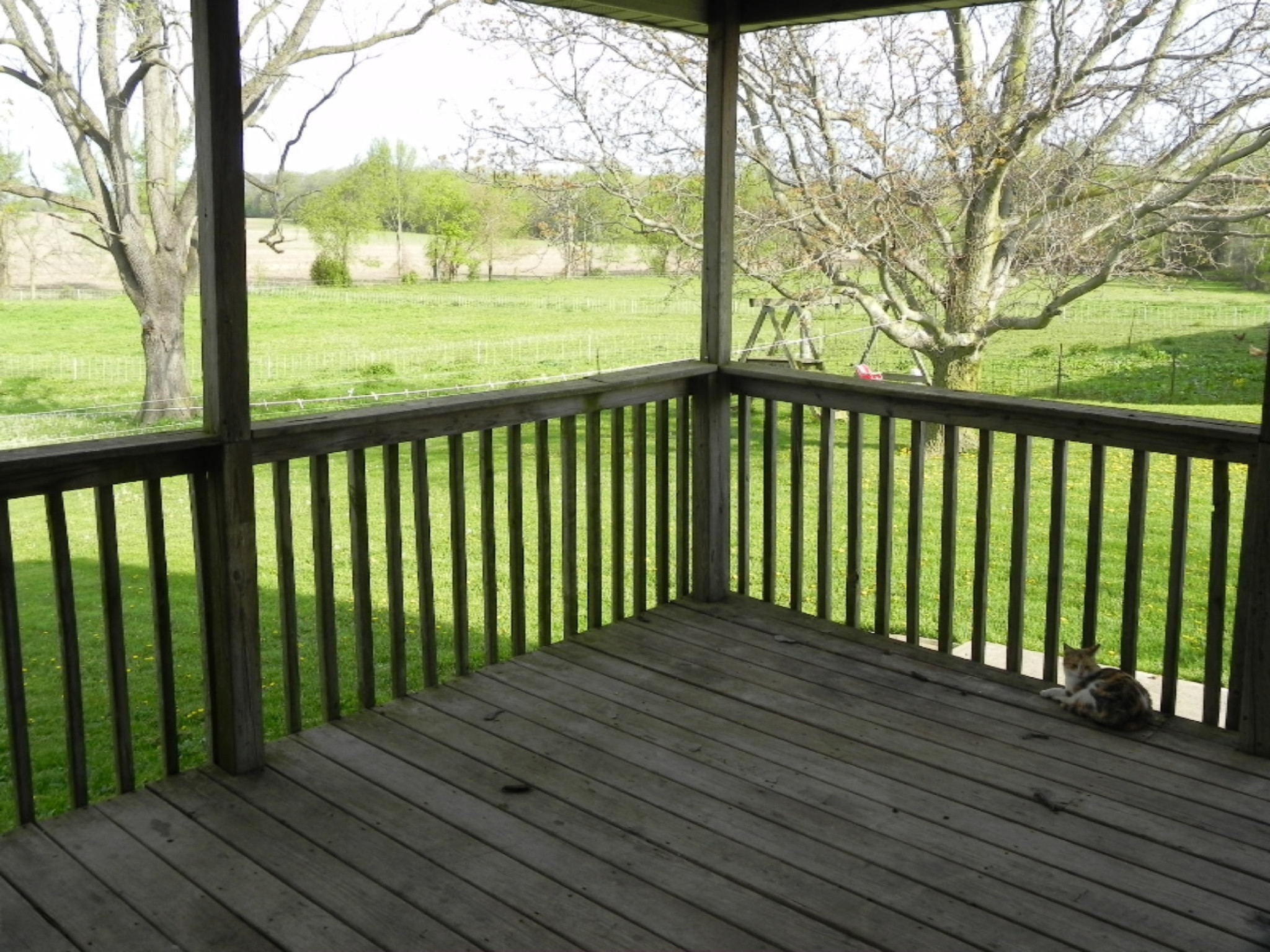 29980 Longnecker Road Mendon, MI 49072 - Photo 6 of 19 DSCN7368