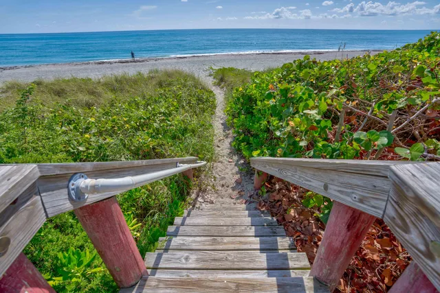 a view of a swimming pool and a lounge chair