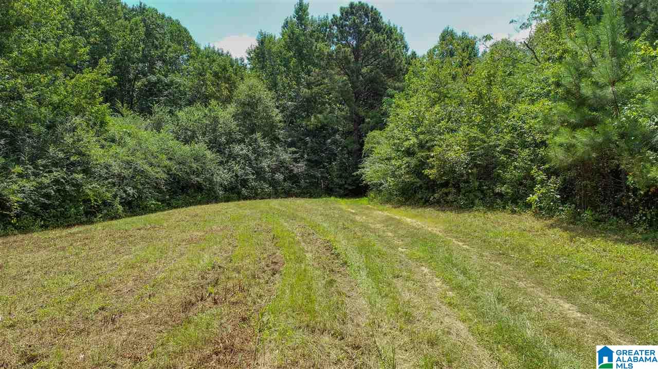 3443 County Road 69, Unit 2 Clanton, AL 35045 - Photo 7 of 8