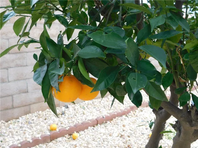 $139,900 | 5700 West Wilson Street, Unit 1, Banning, CA 92220