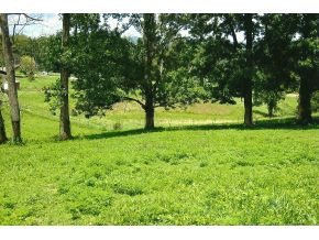 359 H Heaton Road Elizabethton, TN 37643 - Photo 8 of 8 Photo 8