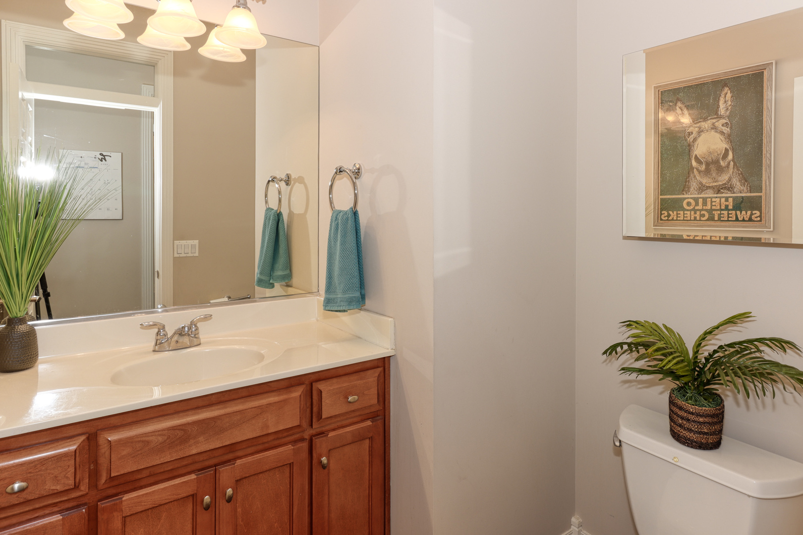 741 Merrill New Road Sugar Grove, IL 60554 - Photo 19 of 42 a bathroom with a sink a toilet and a mirror