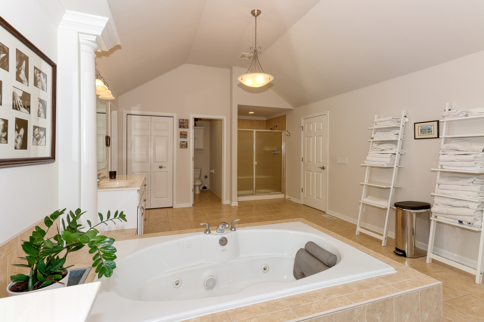 741 Merrill New Road Sugar Grove, IL 60554 - Photo 37 of 42 a spacious bathroom with a tub sink and shower