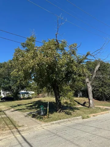 a view of a park with large trees